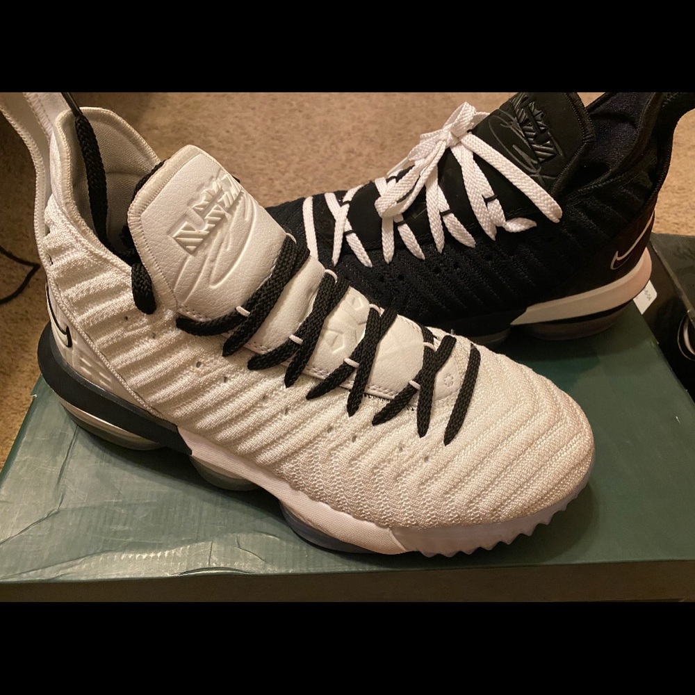 Lebron 16 “Equality”